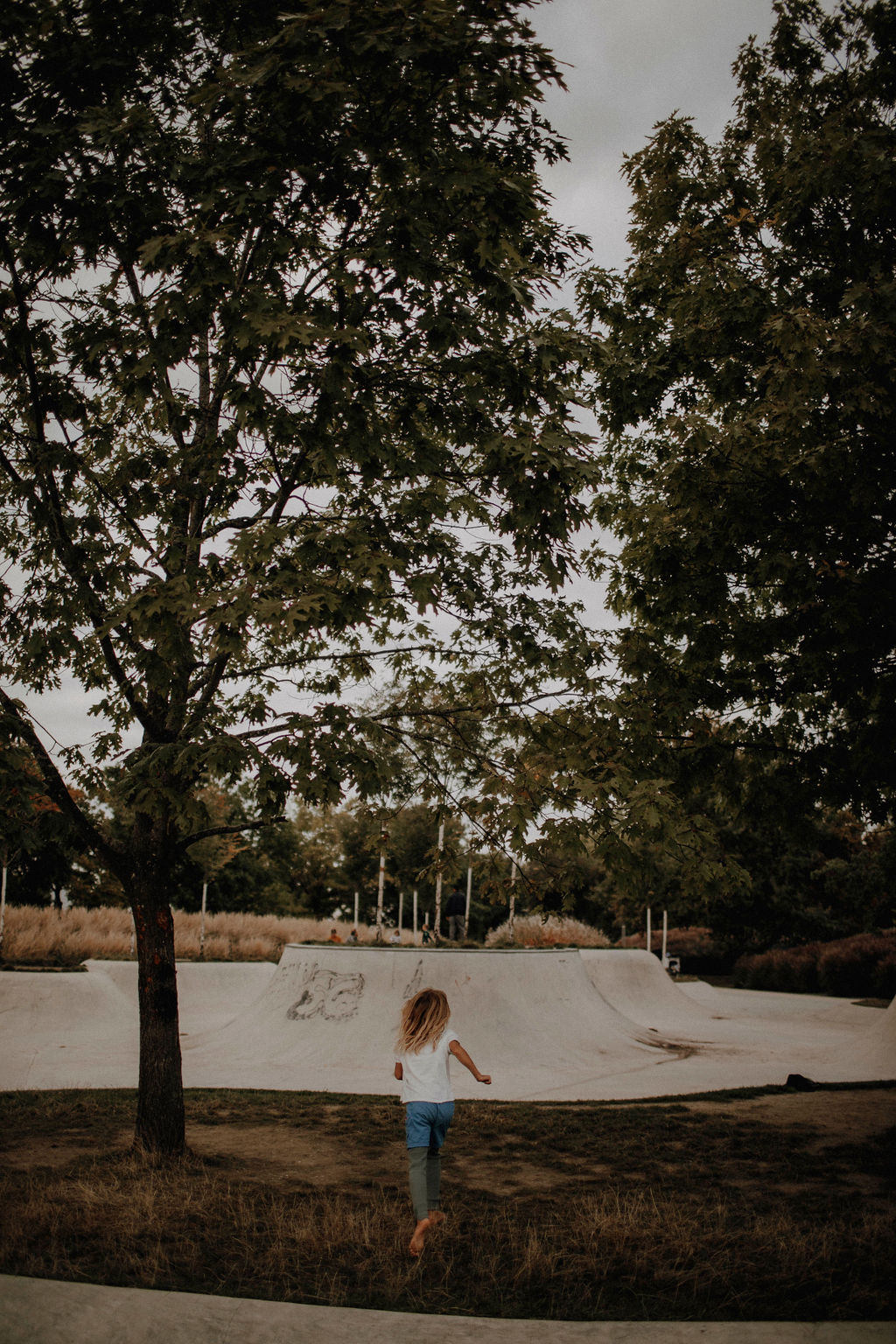 Corona Krone Podcast und Interviews